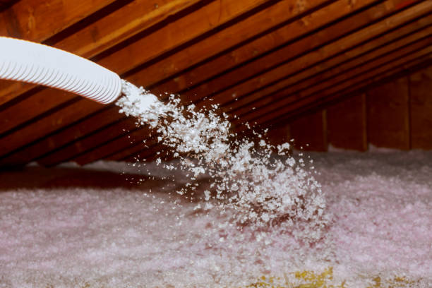 Best Specialized Insulation Services in Beltsville, MD