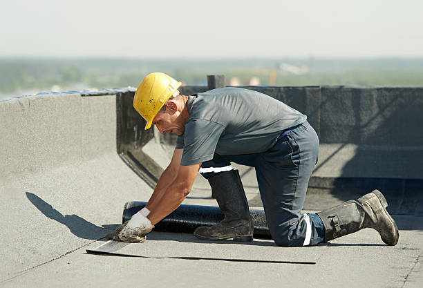 Best DIY Insulation Kits and Guidance in Beltsville, MD