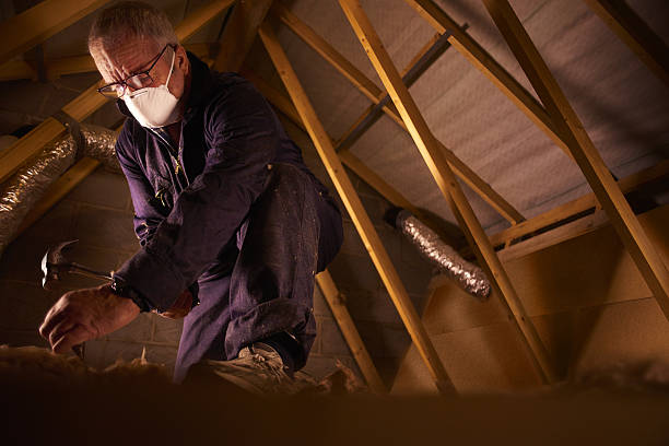 Professional Insulation Contractor in Beltsville, MD